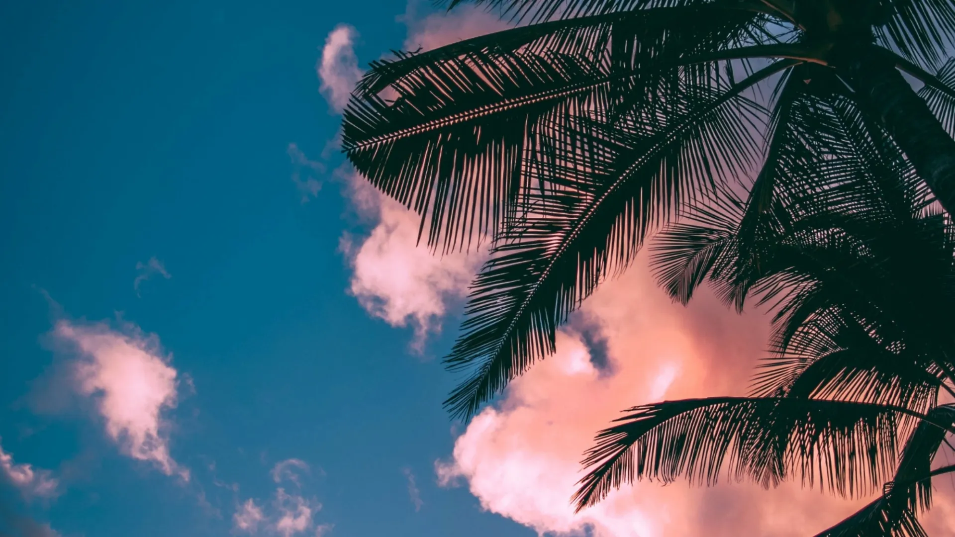 Почему Солнечная система имеет такую форму?